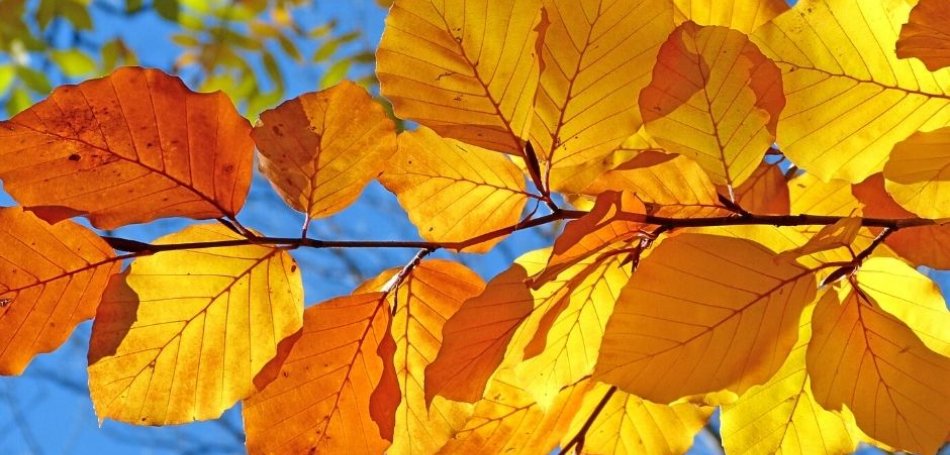 Otoño en Cuenca