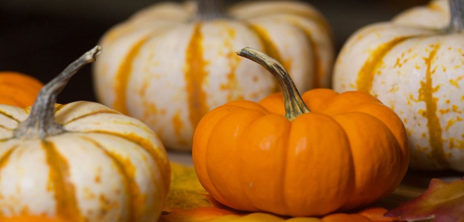 Los planes más terroríficos para un Halloween en Cuenca