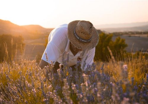 Lavanda´s Tour