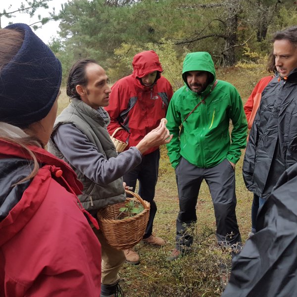 Curso de Micología + ruta